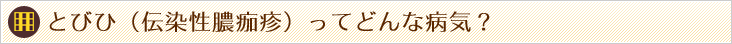 とびひ(伝染性膿痂疹)ってどんな病気