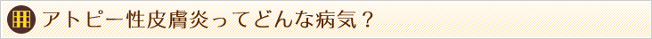 アトピー性皮膚炎ってどんな病気?