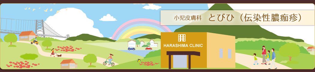 小児皮膚科:とびひ(伝染性膿痂疹)